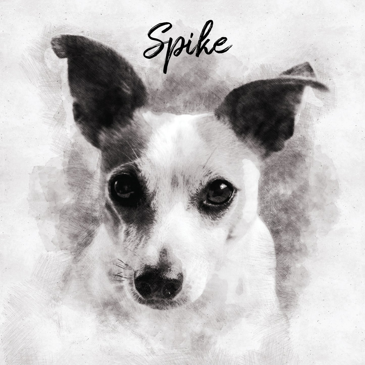 Custom Pencil Sketch Pet Portrait Charcoal Painting Pet Portrait from Photo