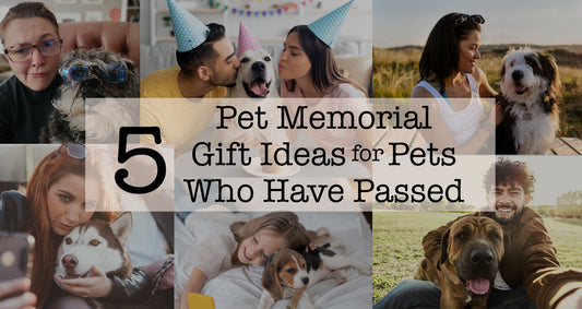 Best Pet Memorial Gift Ideas for Pets Who Have Passed