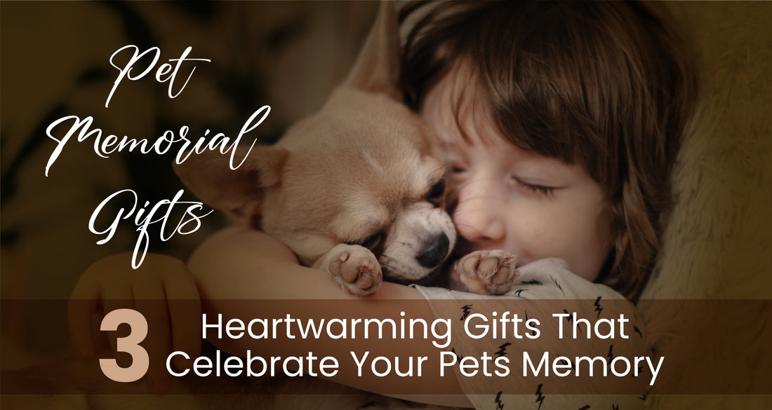 Pet Memorial Gifts: 3 Heartwarming Gifts That Celebrate Your Pets Memory