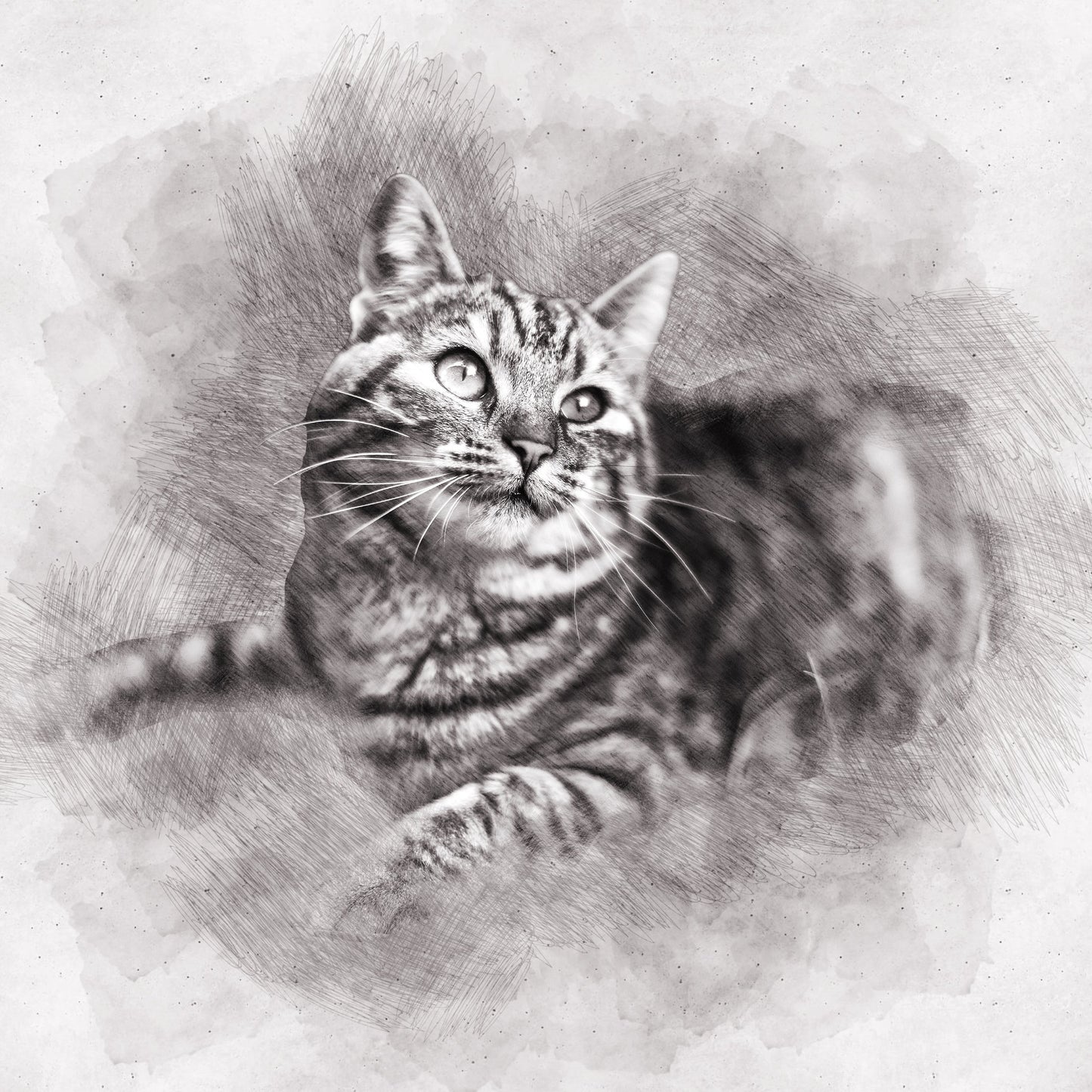 Custom Pencil Sketch Pet Portrait from Photo