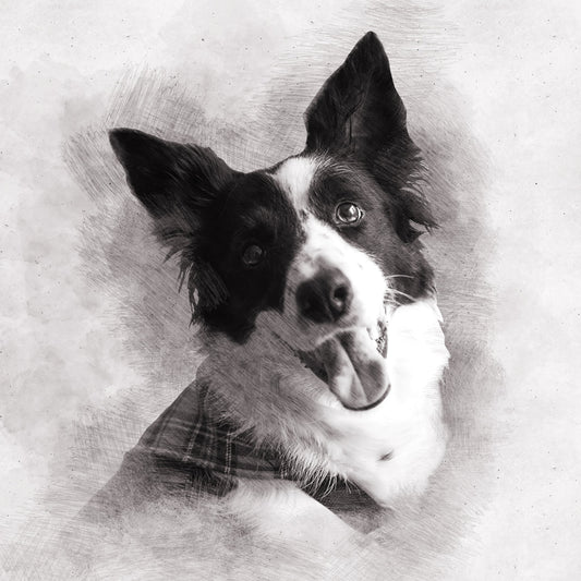Custom Pencil Sketch Pet Portrait Charcoal Painting Pet Portrait from Photo