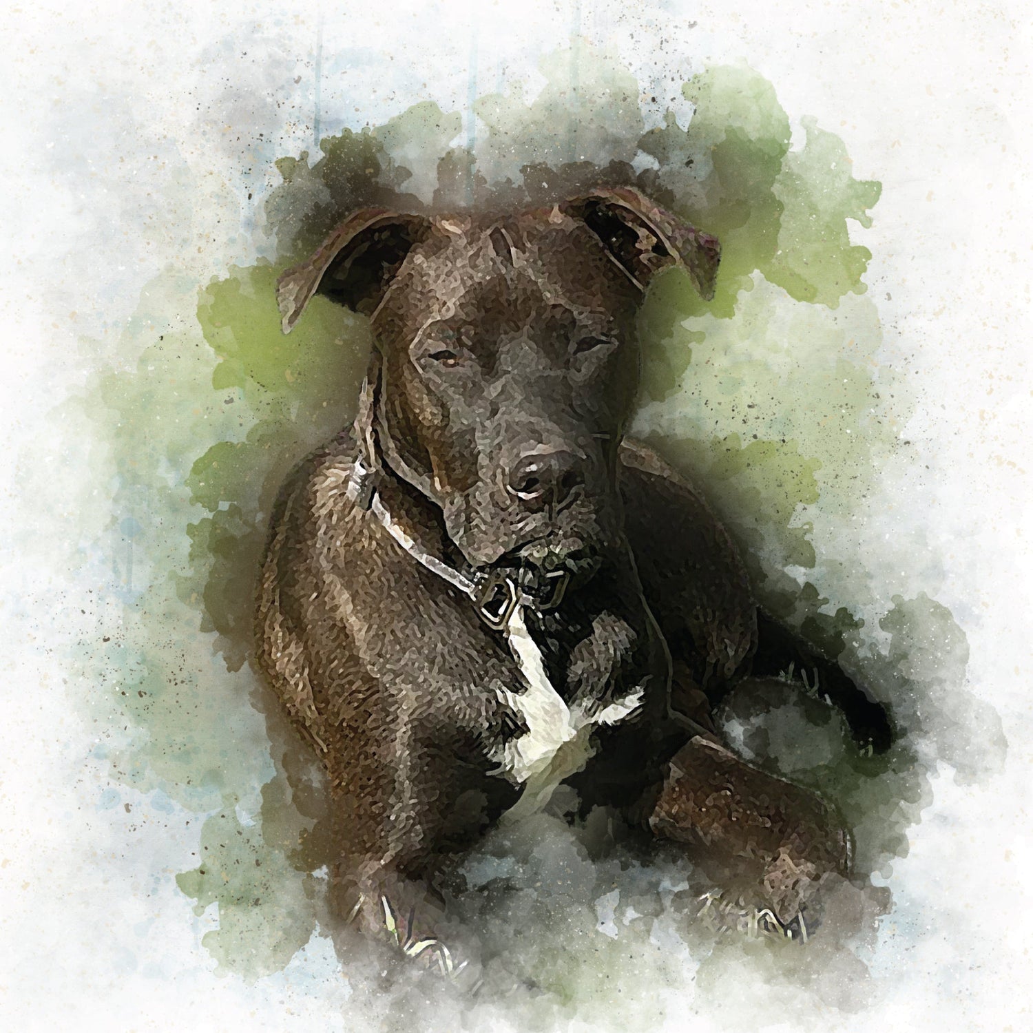 Canvas Prints - Custom Colorful Watercolor Pet Portrait