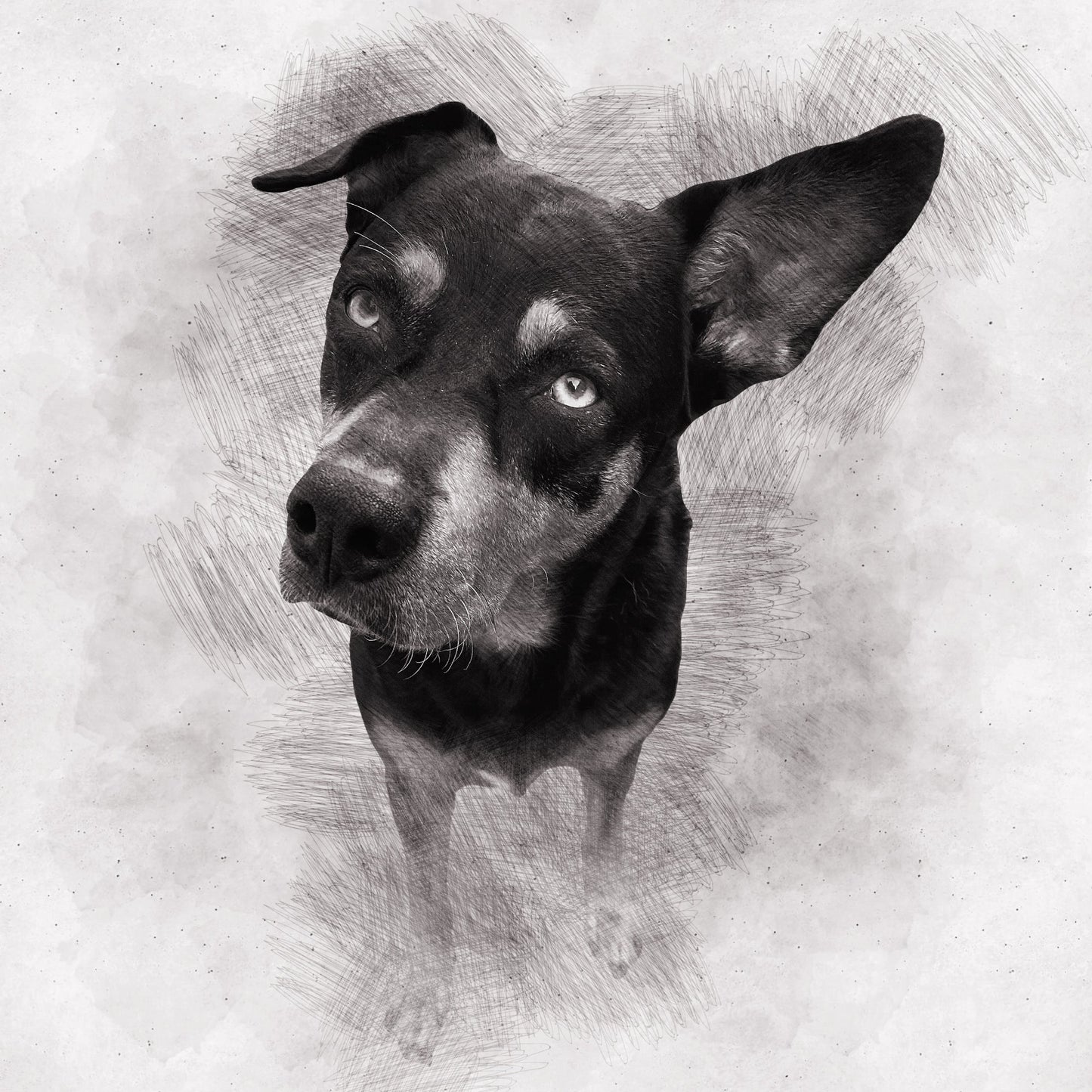Custom Pencil Sketch Pet Portrait Charcoal Painting Pet Portrait from Photo