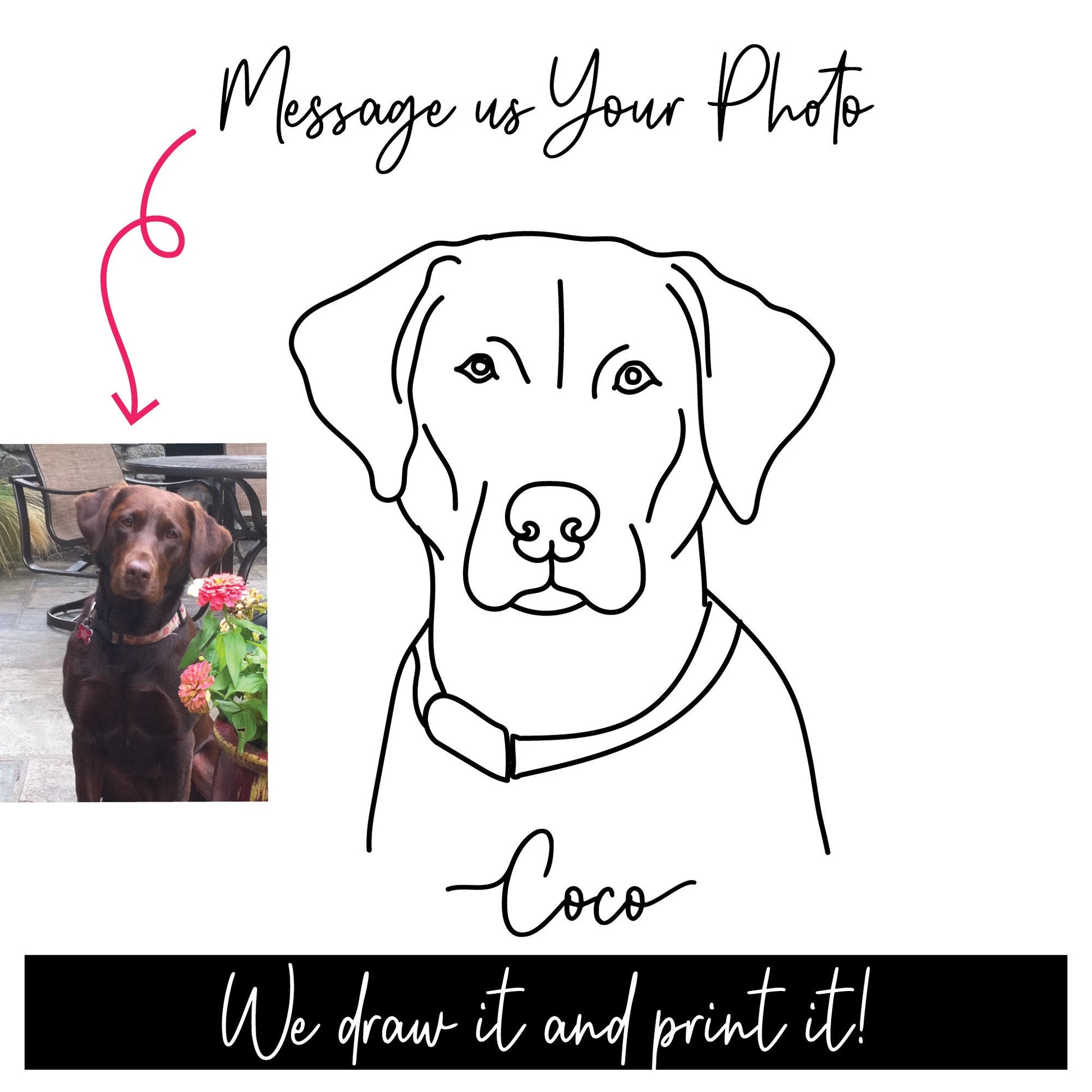 Line Art Pet Portrait Printed on Comfort Colors Stylish Shirt - Great Gift for Pet Lovers - Personalized Pet Shirt - Cat Lovers - Custom