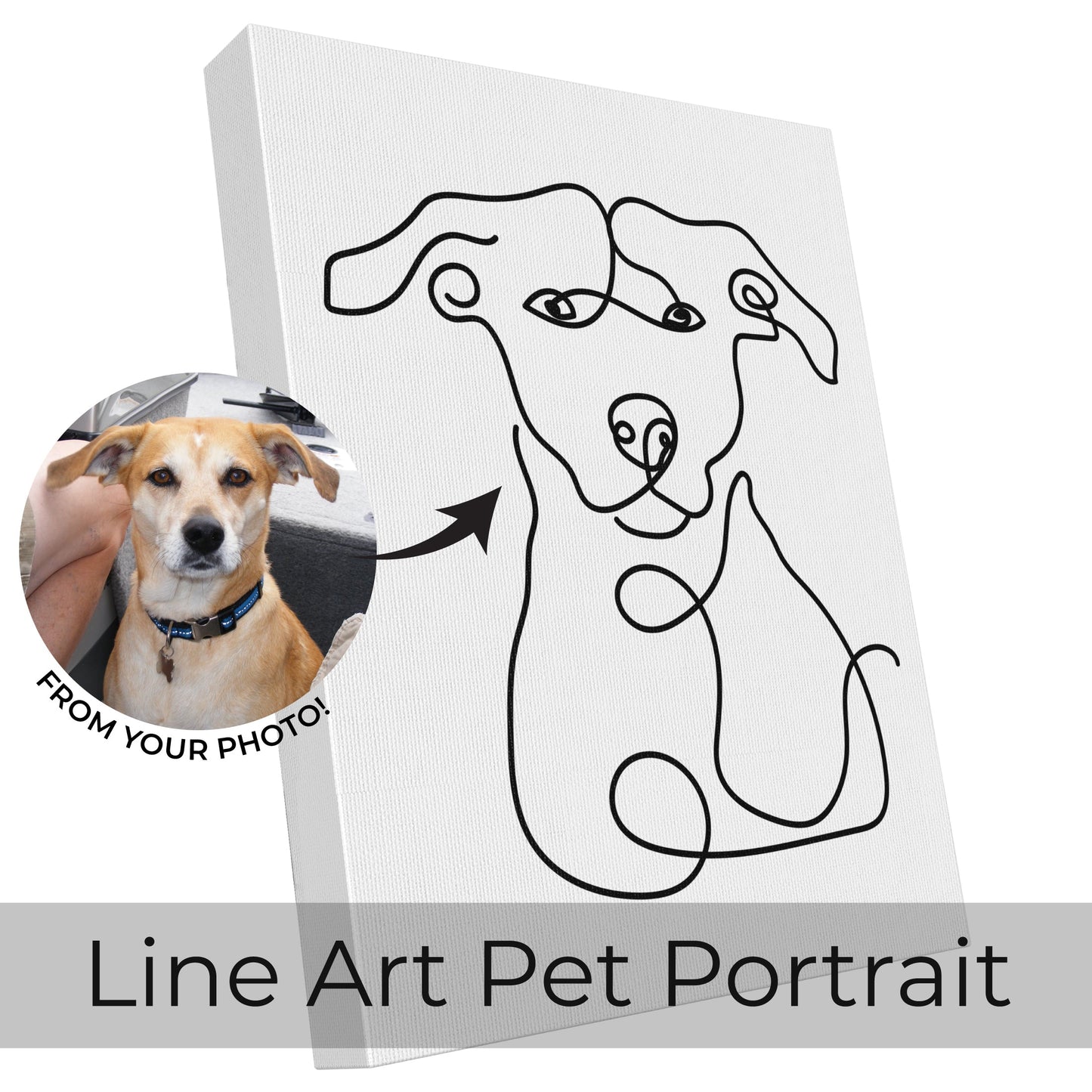 Custom Minimalist Line Art Pet Portrait