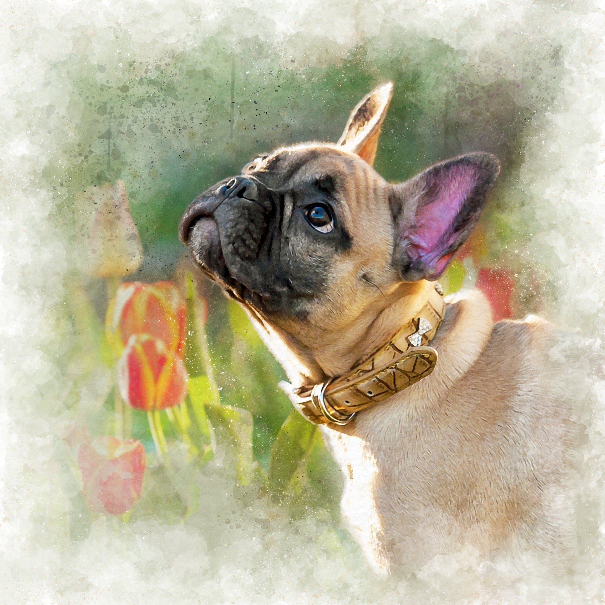 Custom Watercolor Pet Portrait On Premium Canvas