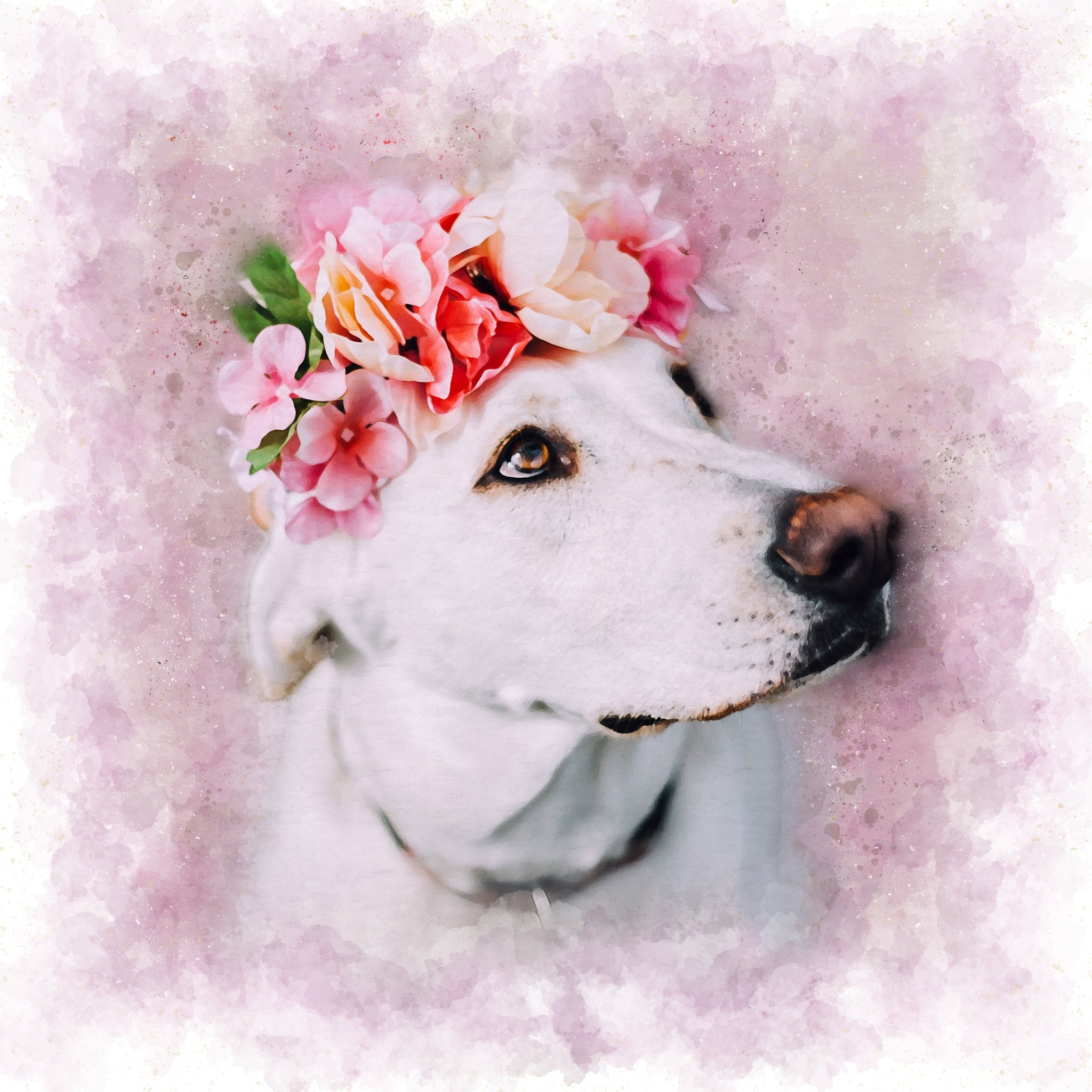 Custom Watercolor Pet Portrait On Premium Canvas